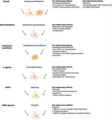 Anesthesia-mediated neuroinflammatory sequelae in post operative cognitive dysfunction: mechanisms and therapeutic implications